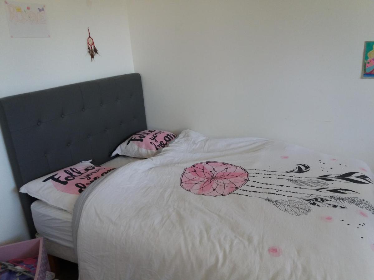 Chambres, Cuisine, Piscine, Spa, Billards, Airhockey, Nature Fillinges Ngoại thất bức ảnh